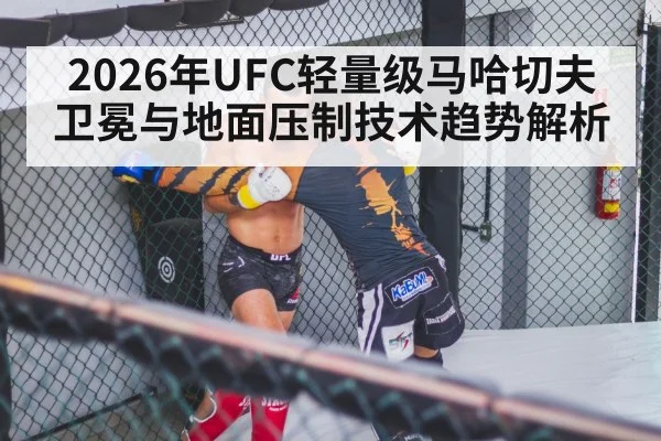 MMA fighters grappling octagon